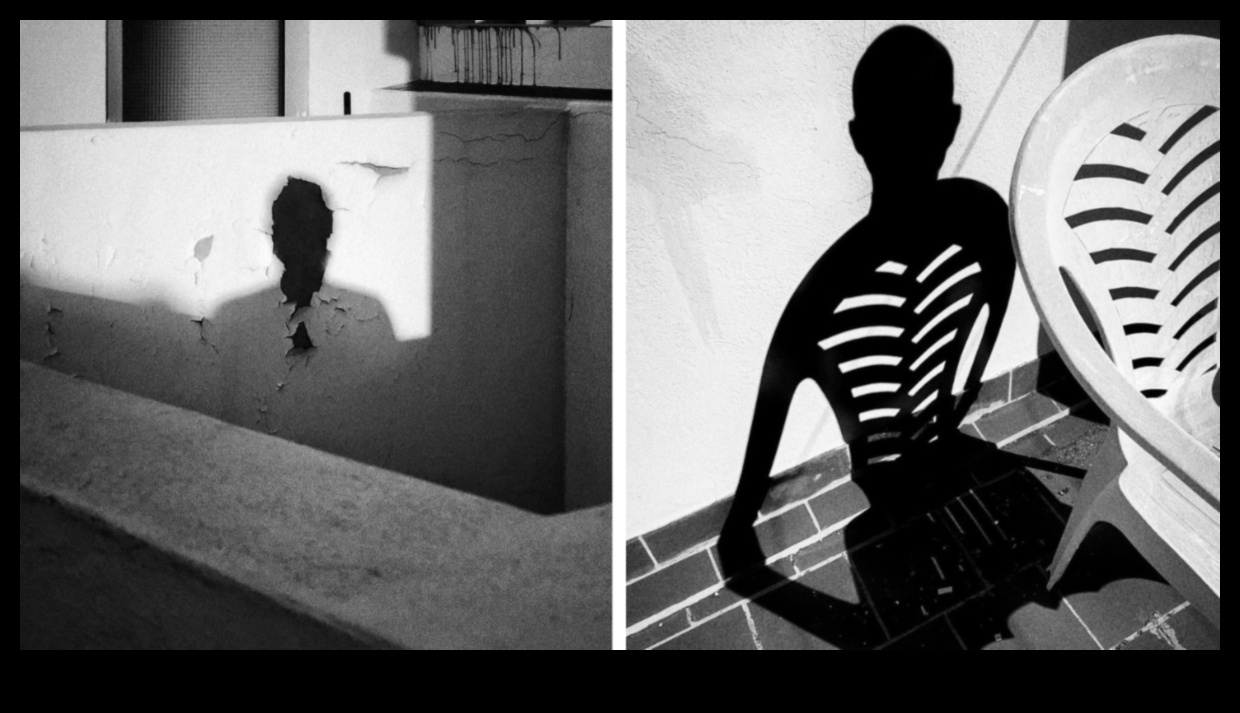 Şekillendirilmiş Siluetler Gölge Fotoğrafçılığı Sanatını Keşfedin 5 Şekillendirilmiş Siluetler: Gölge Fotoğrafçılığı Stilleriyle Form ve Şekil Tanımlama